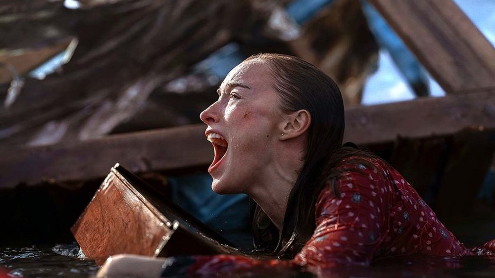 Netflix recebe 8 filmes e séries de peso na semana! Veja lista de lançamentos (6)