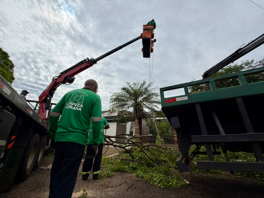 Força-tarefa mobiliza mais de 200 profissionais para recuperar pontos atingidos por temporal em Maringá